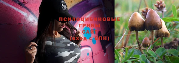 синтетический гашиш Козловка