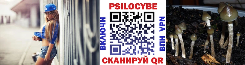 Псилоцибиновые грибы GOLDEN TEACHER KRAKEN ССЫЛКА Поронайск